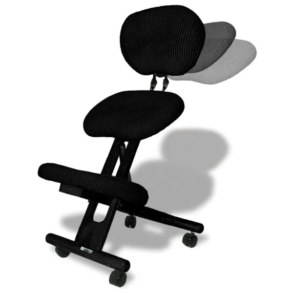 cinius Ergonomic Chair with Backrest, Black