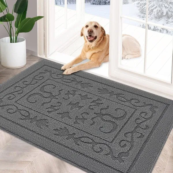 FONEYI Indoor Doormat, Front Back Door Mat 24