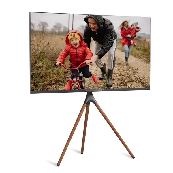 ProMounts Easel Floor TV Stand with Tripod Base for 47-72 inch LED LCD OLED Flat and Curved Screens, Portable Height Adjustable TV Stand Mount for Bedroom, Living Room, Studio