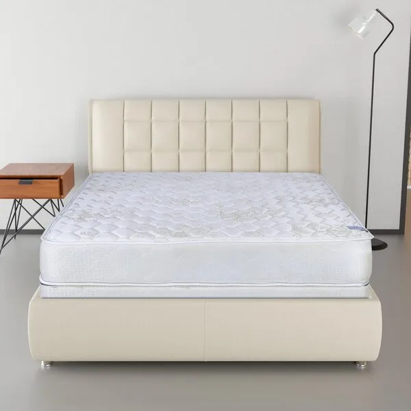 Treaton, 9-Inch Gentle Firm Tight top Innerspring Mattress & 8